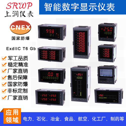 XSE6/C-HVT0A1B2S2V0高精度數(shù)字式智能儀表上潤儀表