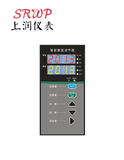 SRWP-T845-010-23-HL簡易操作器上潤儀表