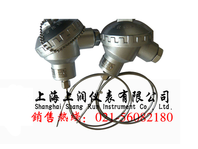 WRNK-136抗震铠装热电偶