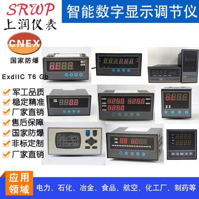 智能双通道平均值测控仪 上海上润仪表