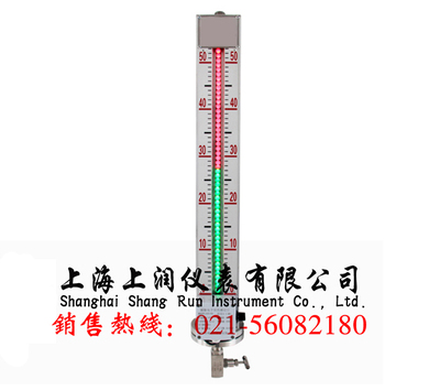 磁敏双色电子液位计参数尺寸材质图纸工作原理