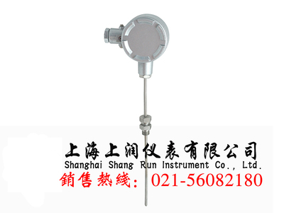 防爆热电偶SRWRN-240上润仪表