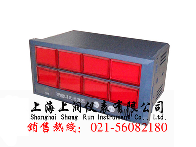 SRWP-X803-0-A八回路闪光报警控制仪