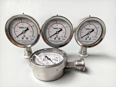 隔膜卫生型压力表卡盘25mmKF25KF16 &nbsp;上润仪表