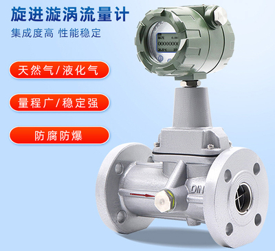 天然气氧气氢气气体旋进旋涡流量计 上润仪表